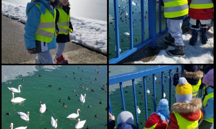 Leptirići - boravak na zraku, šetnja Jarunom, ponašanje u prometu