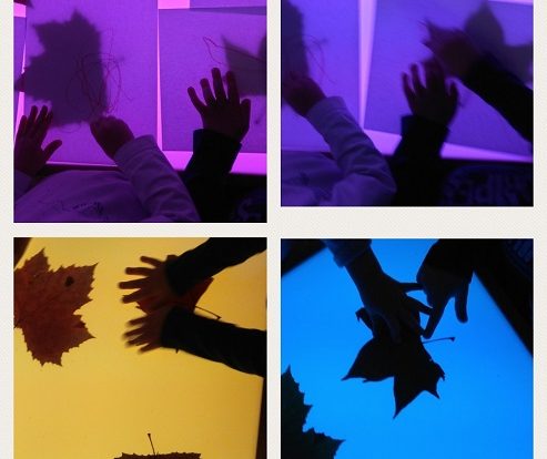Zečići - promatranje strukture lišća na svjetlećem stolu, razvoj spoznaje, vizualne percepcije i učenja boja