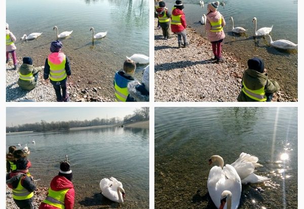 Ribice - šetnja do Jaruna, promatranje ptičjih gnijezda i hranjenje labudova, razvoj spoznaje o našem utjecaju i brizi za okolinu