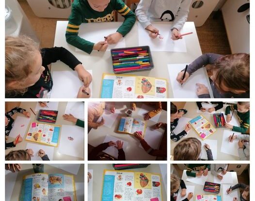 Ribice - obrada slikovnice 'Tijelo', poticanje na razvoj pojma o sebi te usvajanje naziva tijela i njihova funkcija