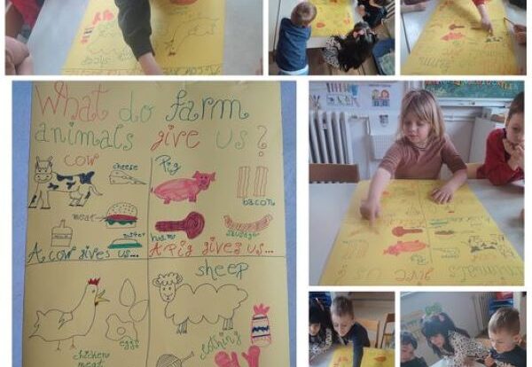 Ribice engleski -What do farm animals give us - learning farm words