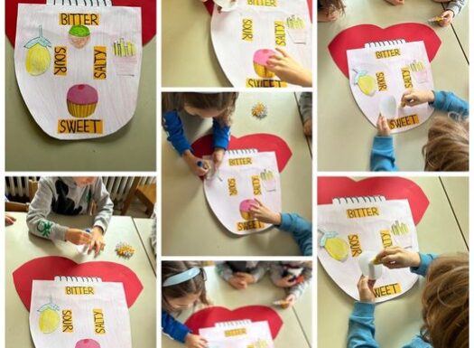 Ribice - we are learning about senses of taste.