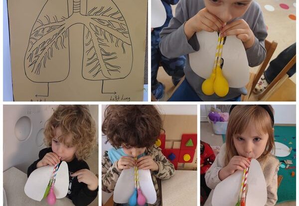 Ribice - project; learning about how the lungs work.