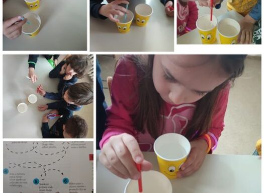 Ribice - experiment with water, moving water with a straw.