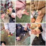 Bubamare - Prvi vjesnici proljeća, poticanje osjetilnog istraživanja dodirom, mirisom i vizualnim opažanjem, razvoj govora kroz imenovanje boja.