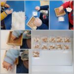 Lavići-Praktične aktivnosti, sadnja božićne pšenice, razvoj početne spoznaje o rastu i razvoju